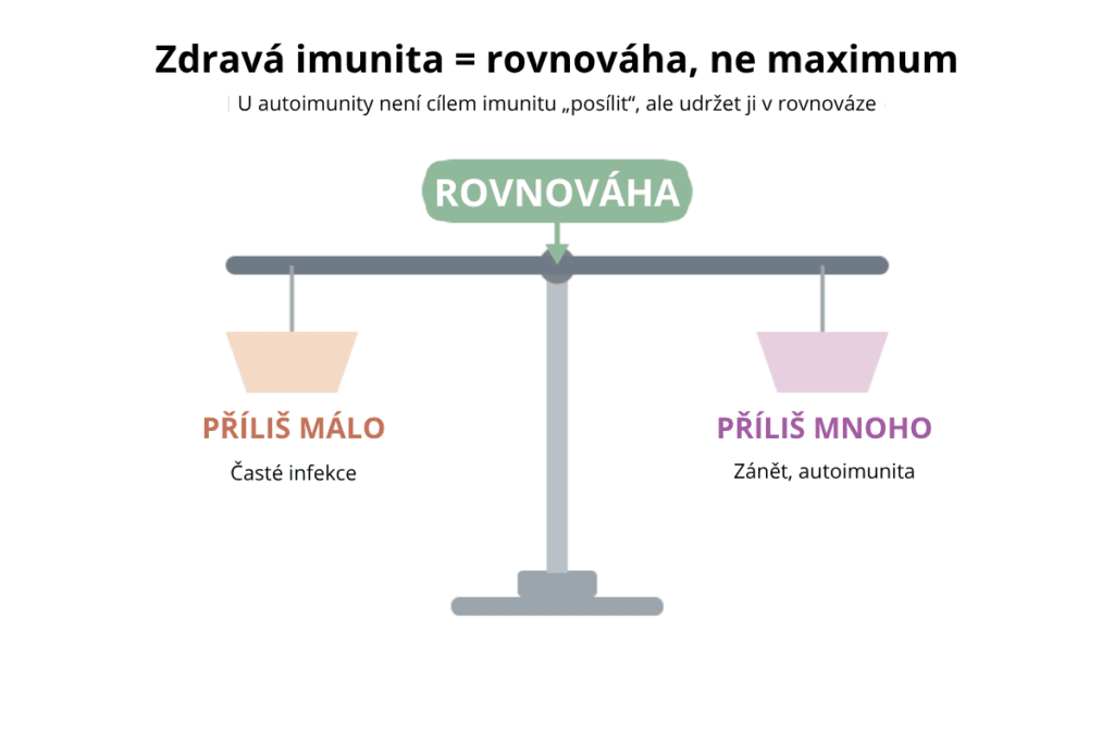 U autoimunitních onemocnění je tato rovnováha narušena – a bezhlavé „posilování“ imunity ji může ještě více vychýlit.